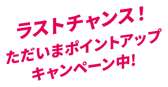 ラストチャンス!ただいまポイントアップキャンペーン中!